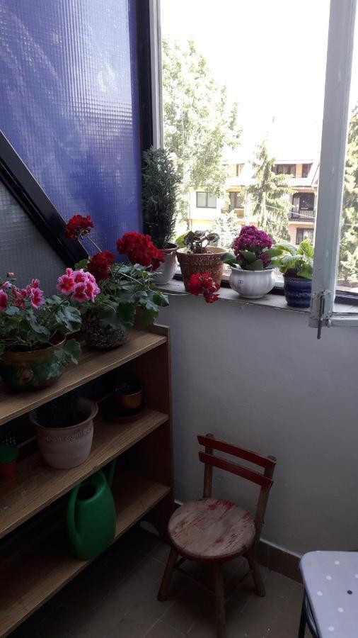 Annika Apartman Еґер Екстер'єр фото